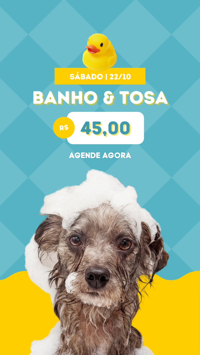 portfolio-banhoTosa